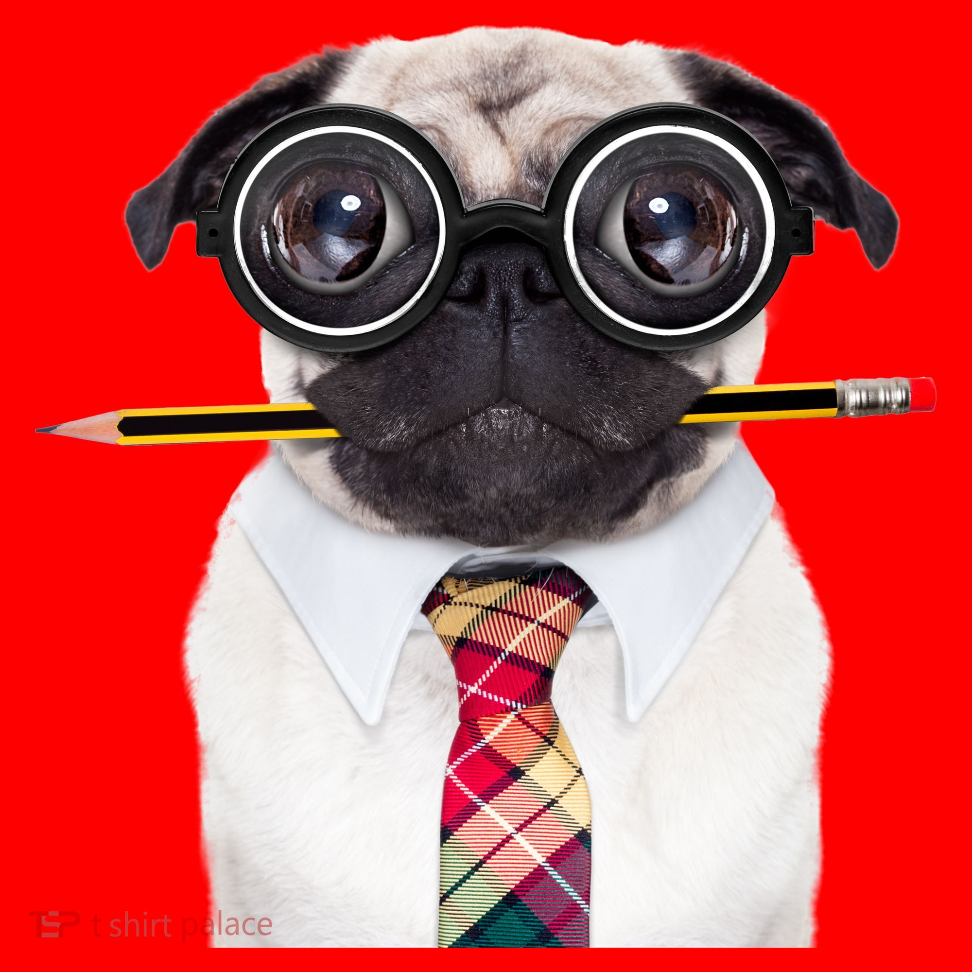 Nerdy Pug Dog With Glasses Santa Hat