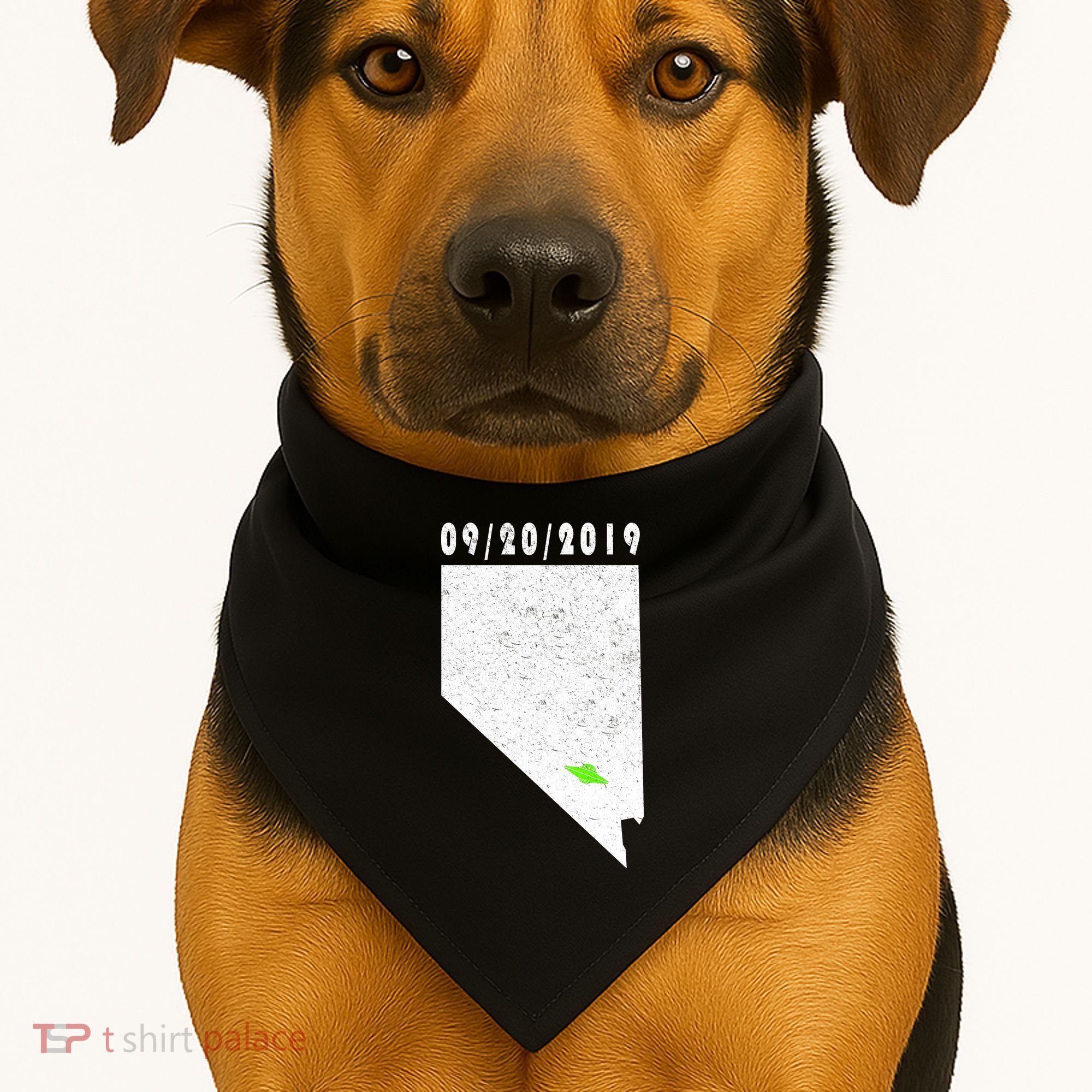 Nevada Storm Area 51 USA-Made Doggie Bandana