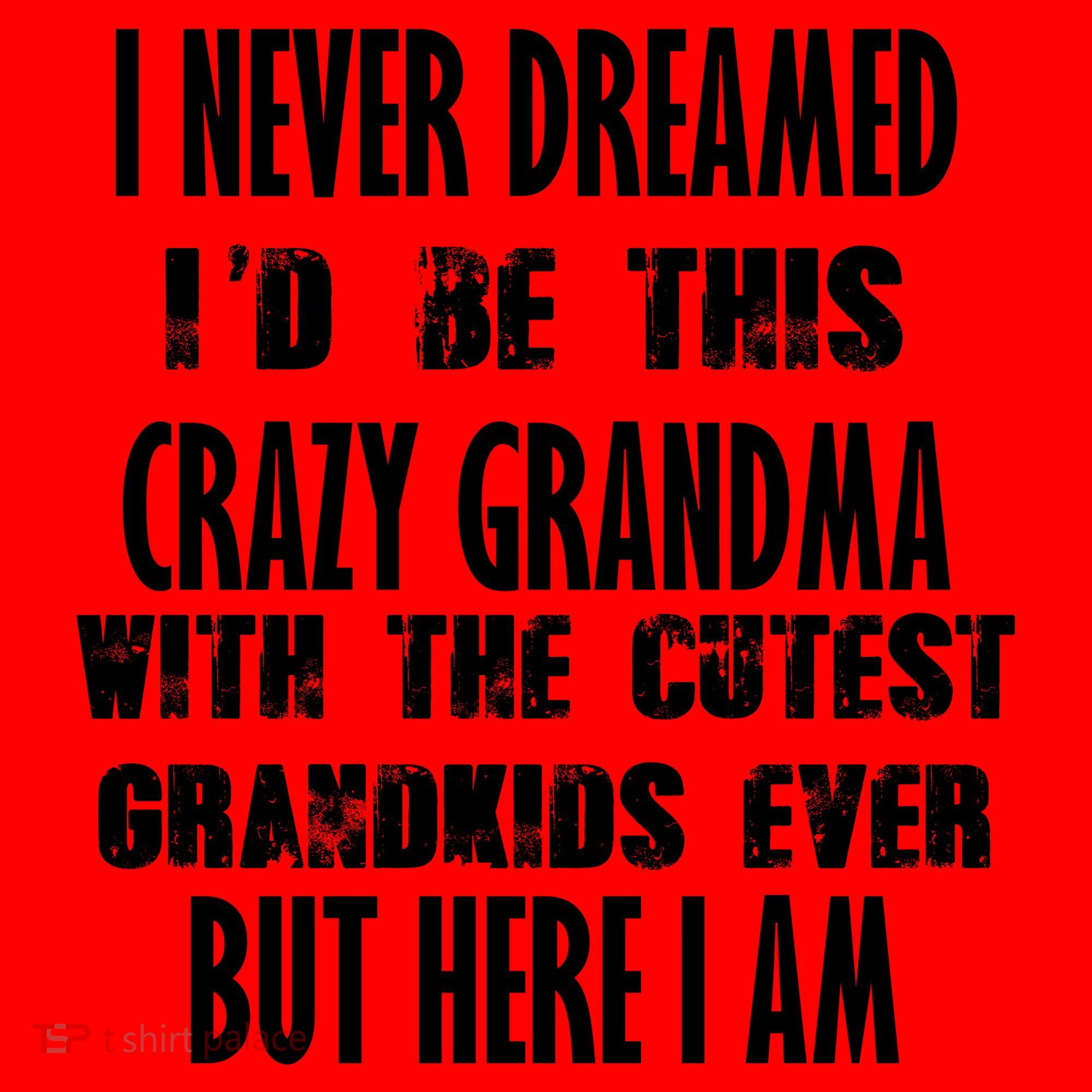 Never Dreamed I'd Be A Crazy Grandma Santa Hat