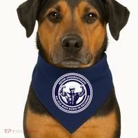 Never Underestimate An Old Man Born In December USA-Made Doggie Bandana thumb 1