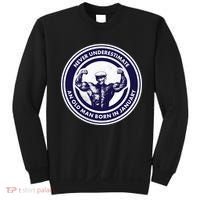 Never Underestimate An Old Man Born In January Sweatshirt thumb 0
