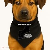 New England Because Old England Was Wicked Stupid USA-Made Doggie Bandana thumb 1
