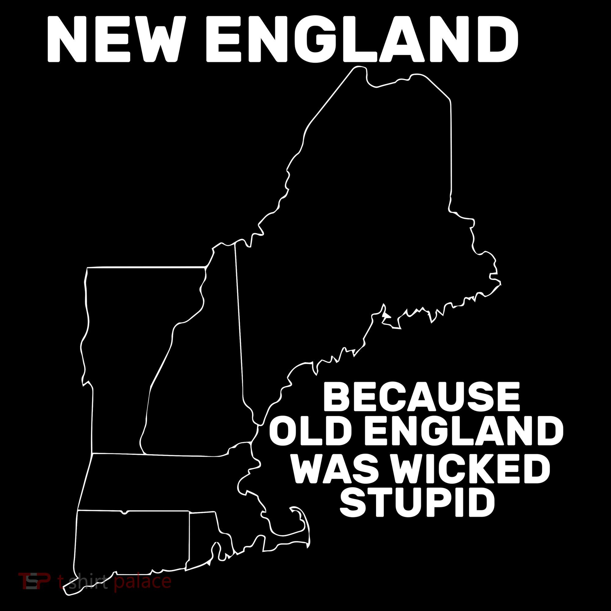 New England Because Old England Was Wicked Stupid Women's Hoodie