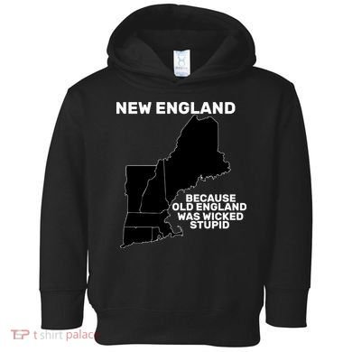 New England Because Old England Was Wicked Stupid Toddler Hoodie