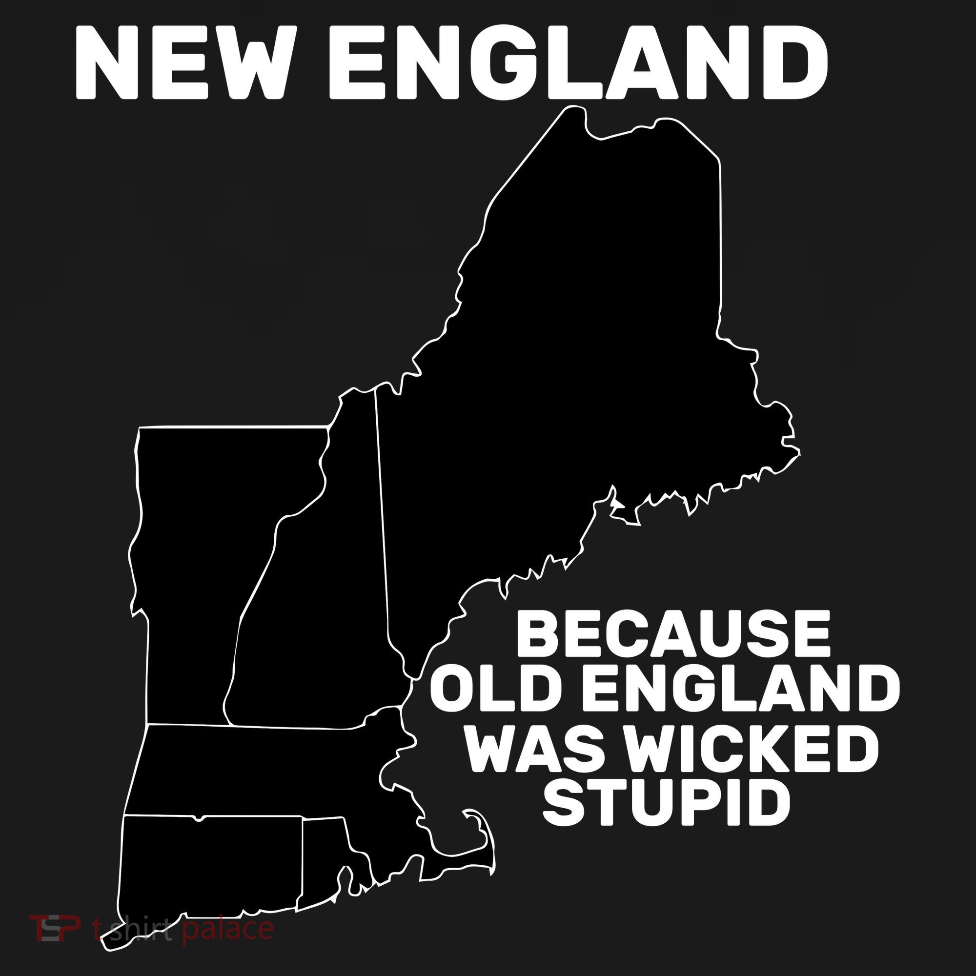 New England Because Old England Was Wicked Stupid Toddler Hoodie