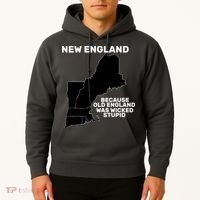 New England Because Old England Was Wicked Stupid Hoodie thumb 2
