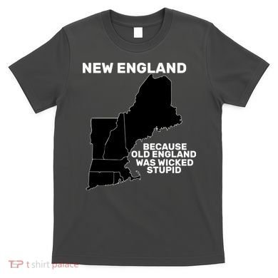 New England Because Old England Was Wicked Stupid T-Shirt