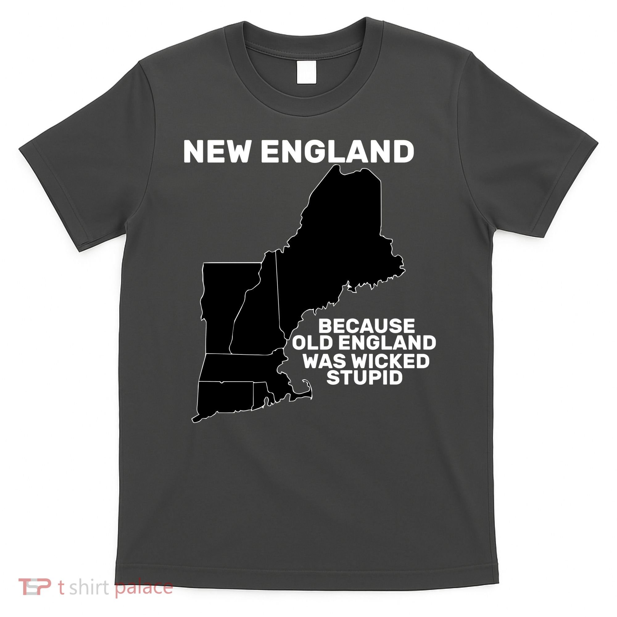 New England Because Old England Was Wicked Stupid T-Shirt