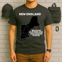 New England Because Old England Was Wicked Stupid T-Shirt thumb 6