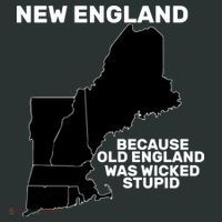 New England Because Old England Was Wicked Stupid Mousepad thumb 1