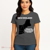 New England Because Old England Was Wicked Stupid Women's T-Shirt thumb 4