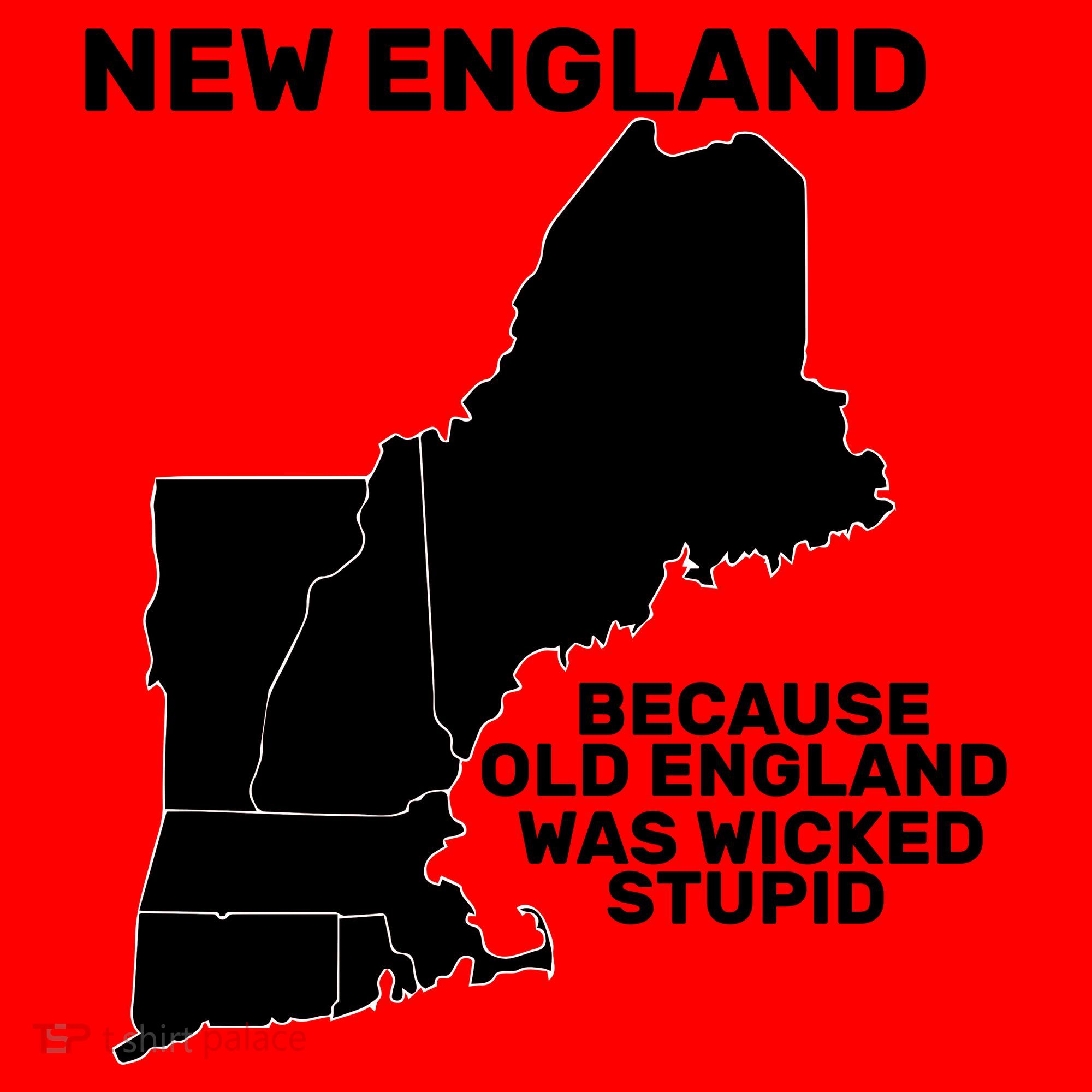 New England Because Old England Was Wicked Stupid Santa Hat