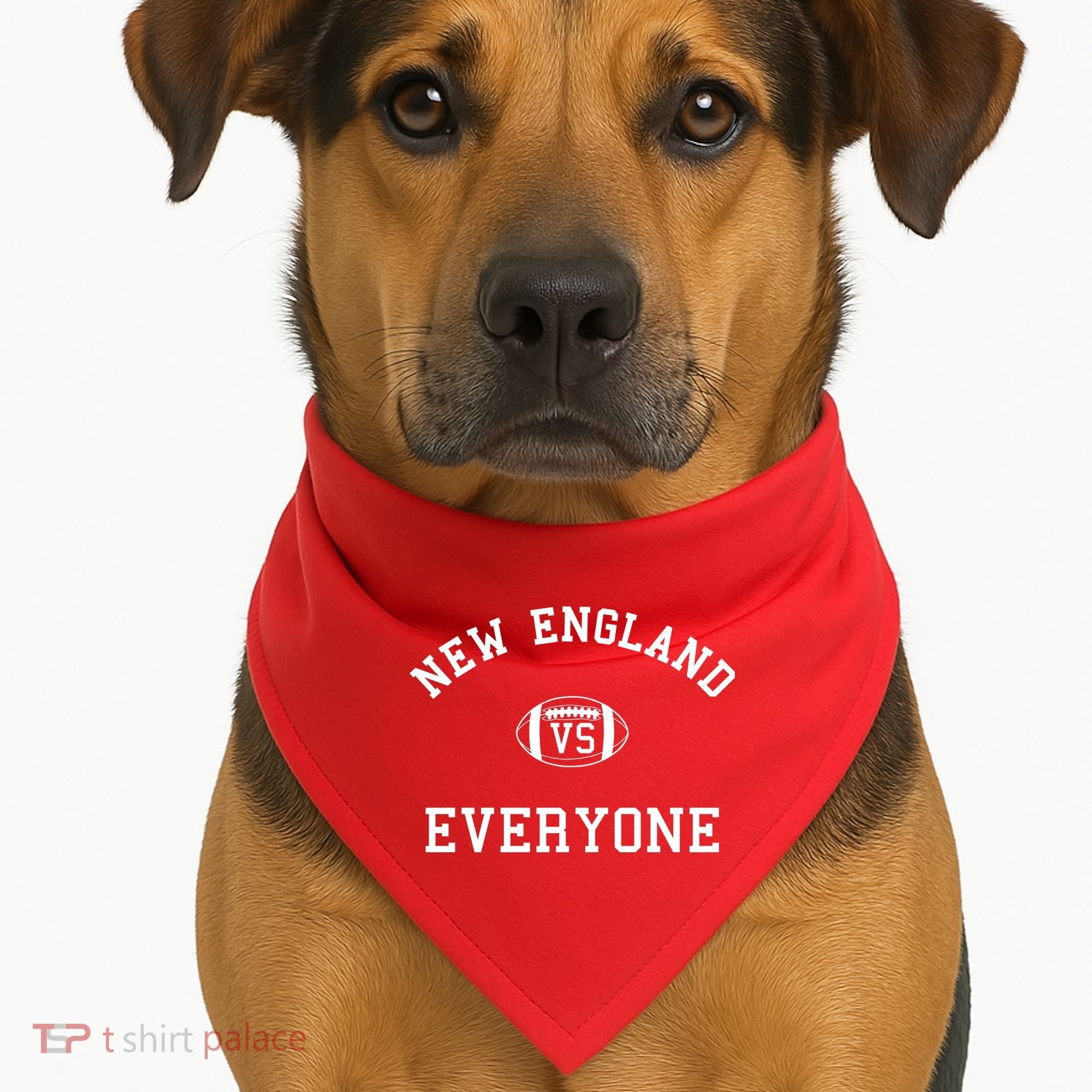 New England Vs Everyone Football Fan USA-Made Doggie Bandana