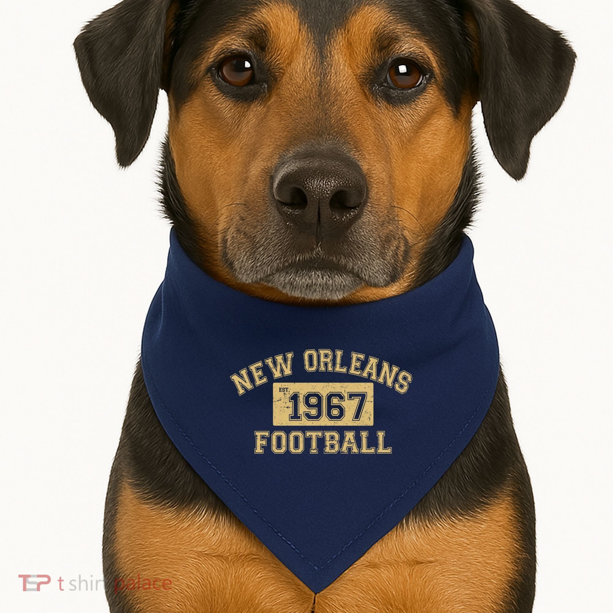 New Orleans Football Establish 1967 USA-Made Doggie Bandana