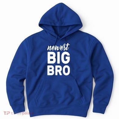Newest Big Bro Hoodie