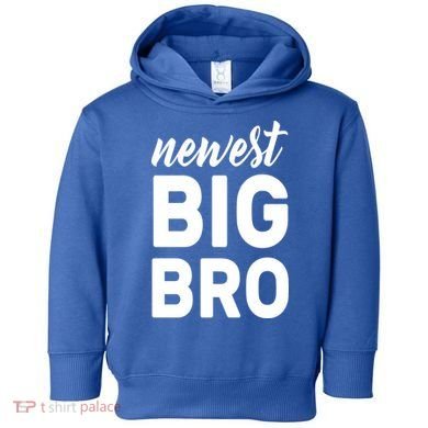 Newest Big Bro Toddler Hoodie