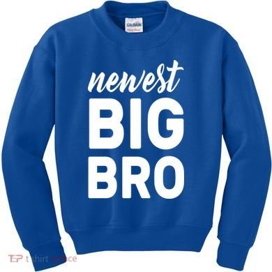Newest Big Bro Kids Sweatshirt