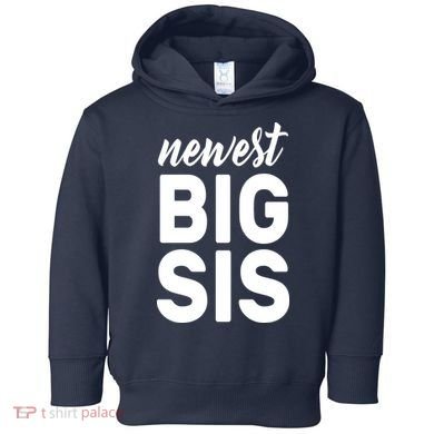 Newest Big Sis Toddler Hoodie