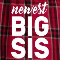 Newest Big Sis Women's Flannel Plaid Pajama Pants thumb 2
