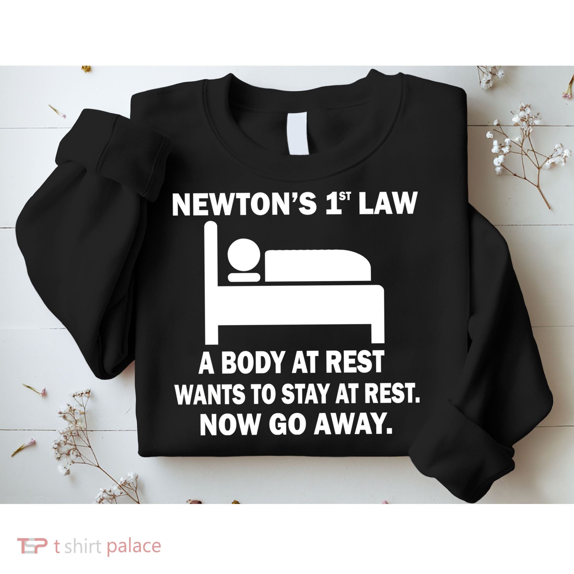 Newton's 1st Law A Body At Rest Sweatshirt
