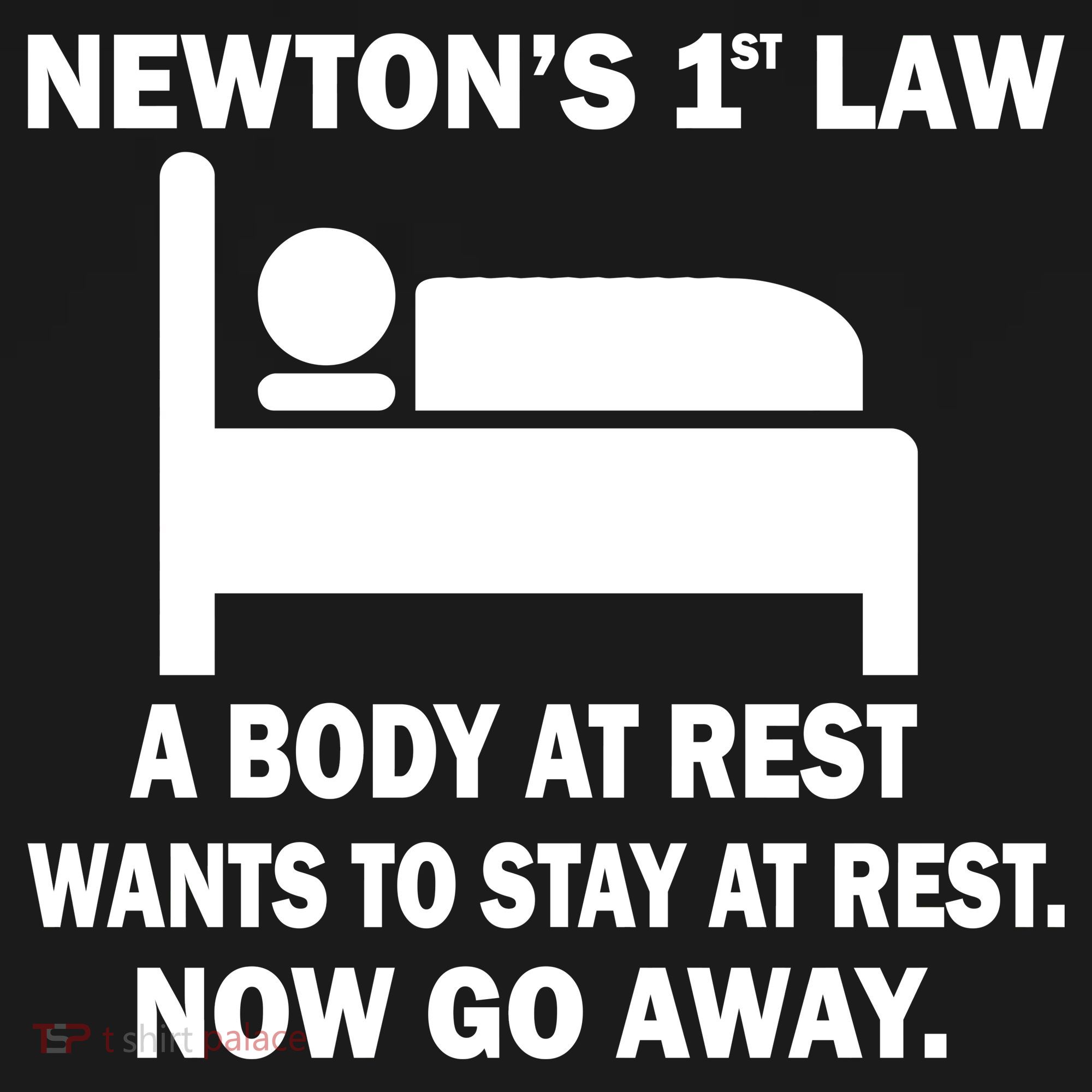Newton's 1st Law A Body At Rest Polo