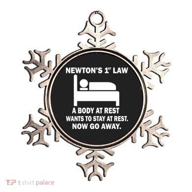 Newton's 1st Law A Body At Rest Ornament