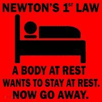 Newton's 1st Law A Body At Rest Santa Hat thumb 1