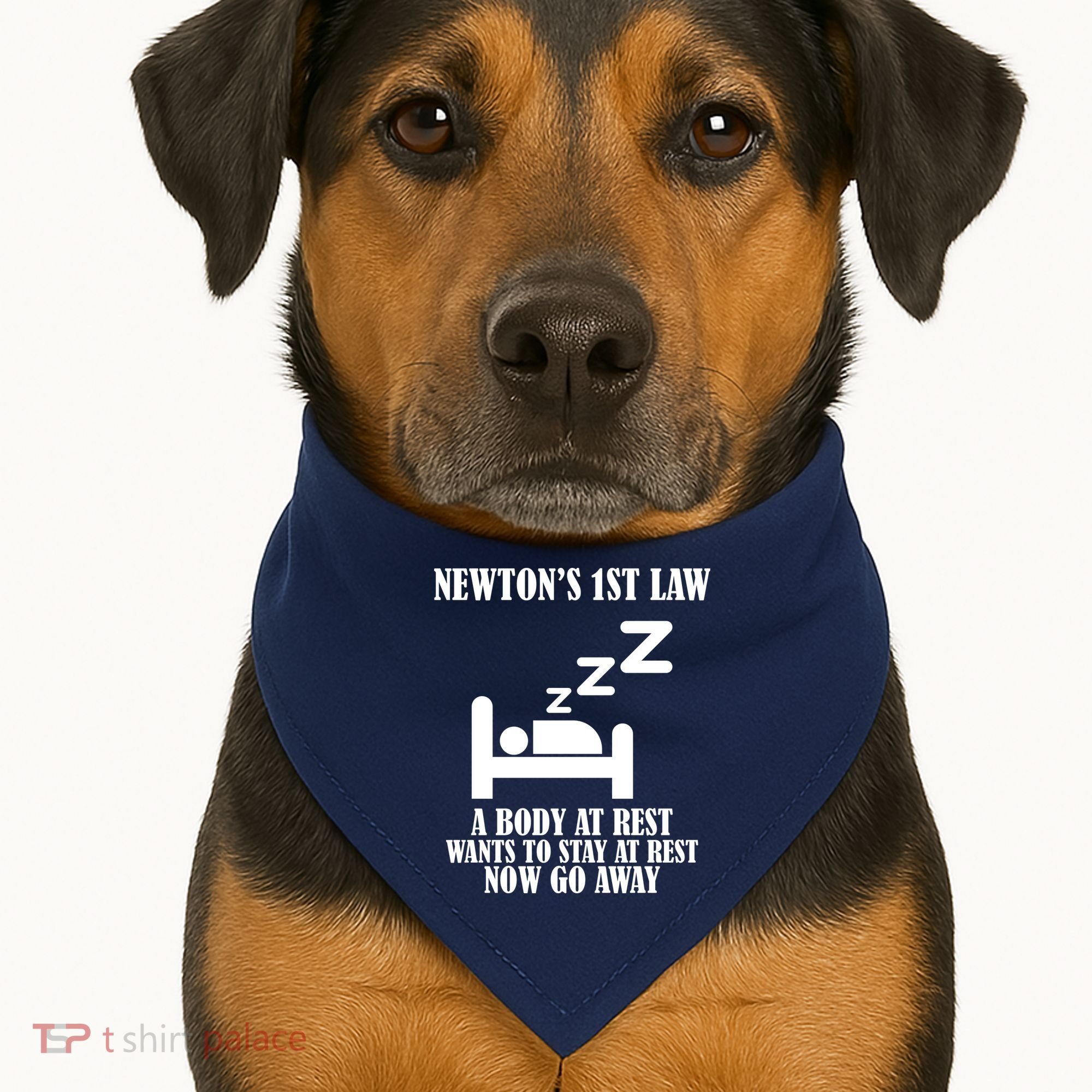Newton's 1st Law Body At Rest Now Go Away USA-Made Doggie Bandana