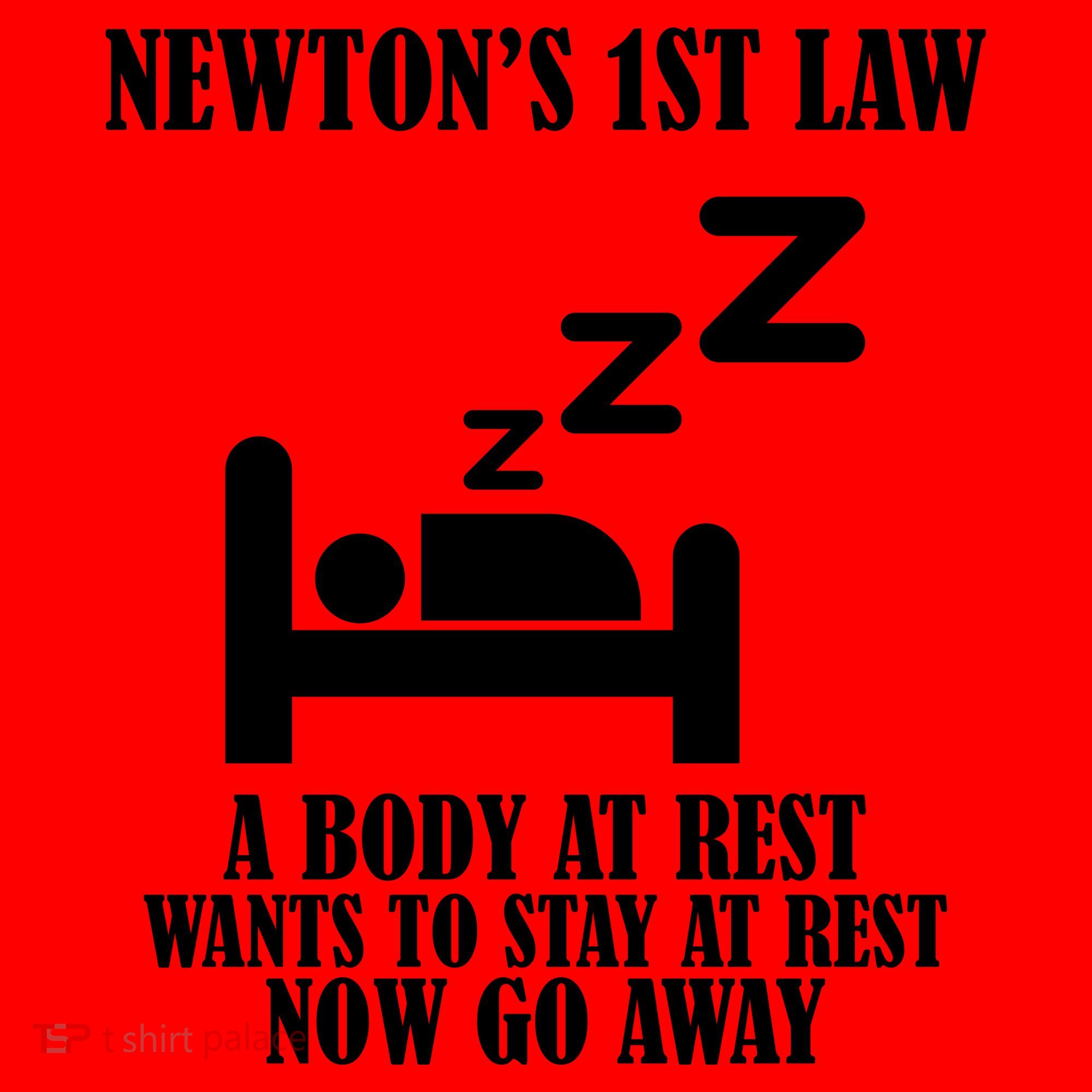 Newton's 1st Law Body At Rest Now Go Away Santa Hat