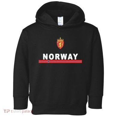 Norwaynorwegian Flag And Emblem Toddler Hoodie