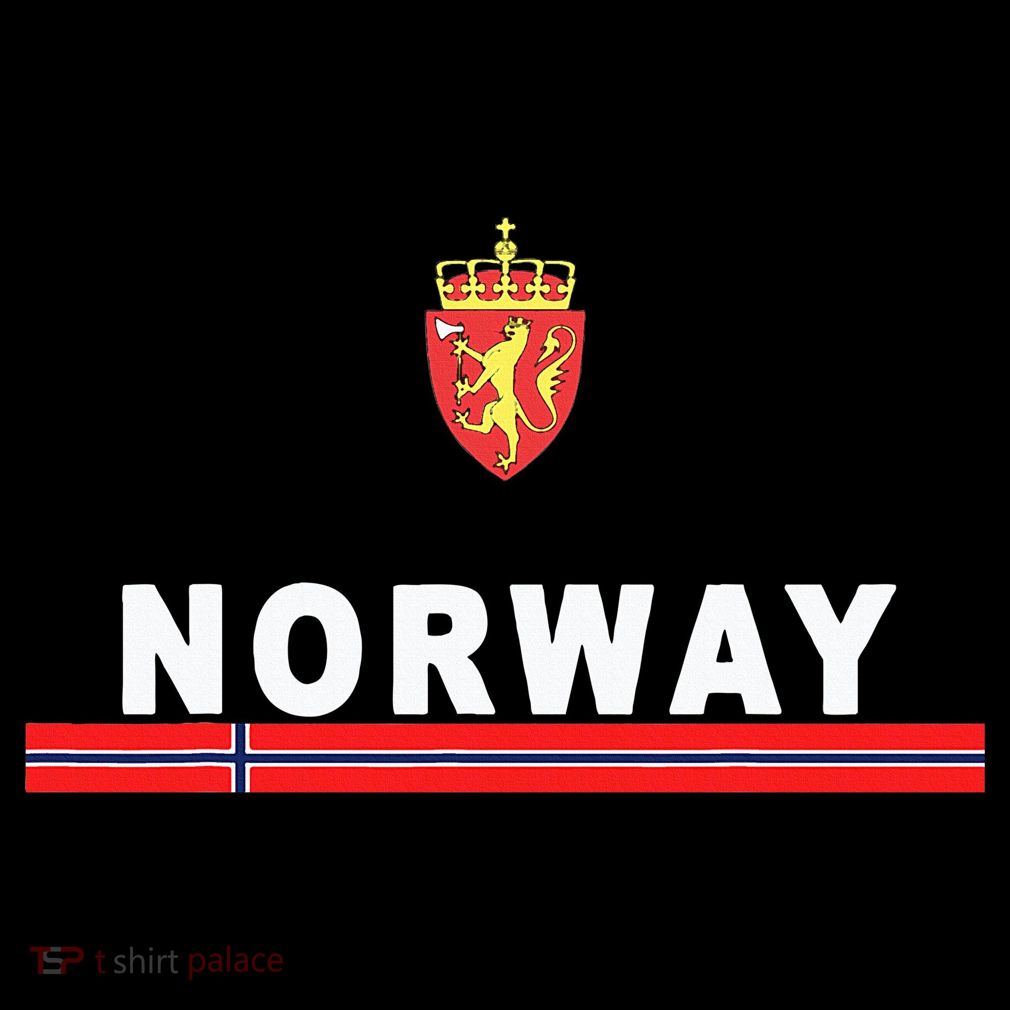 Norwaynorwegian Flag And Emblem Women's T-Shirt