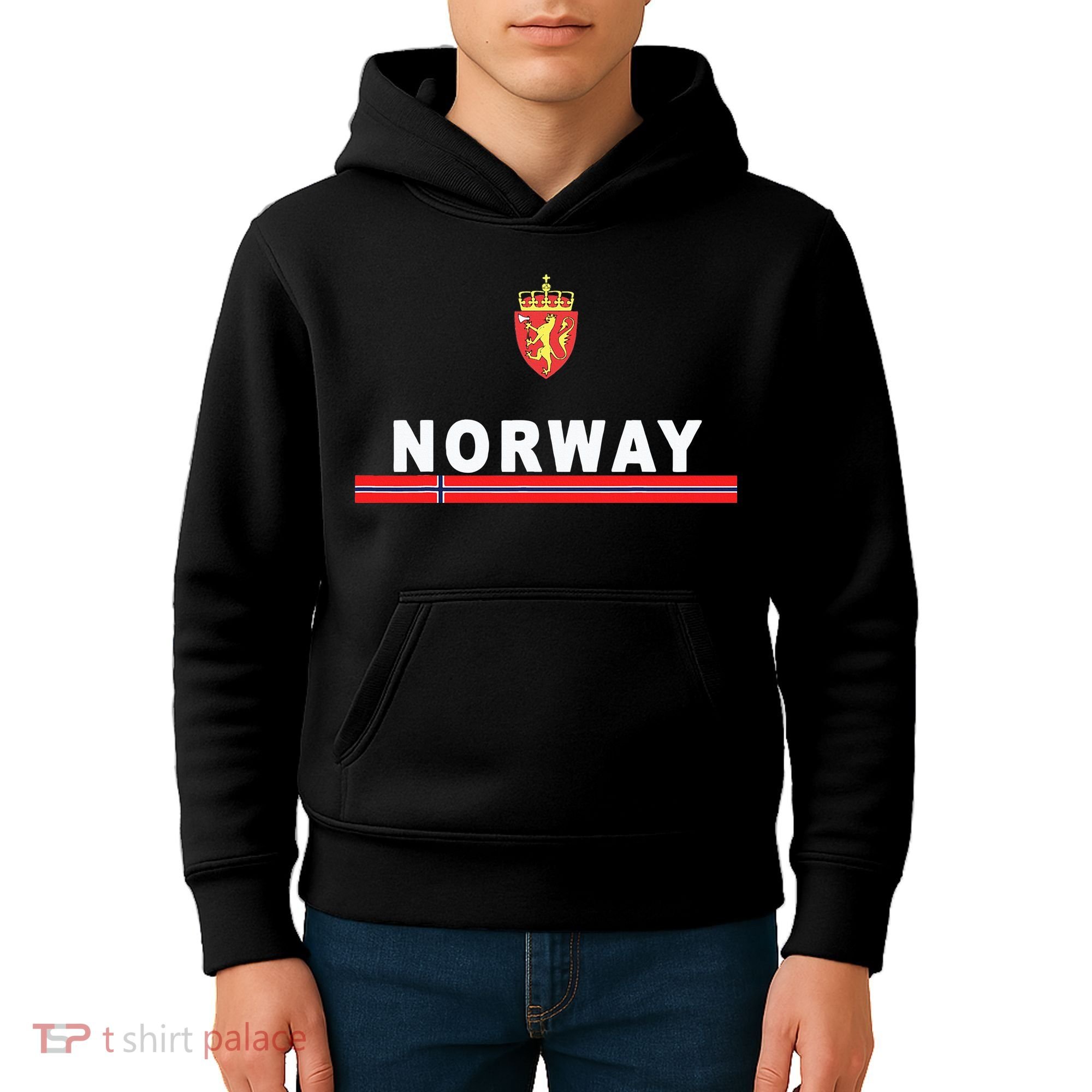 Norwaynorwegian Flag And Emblem Kids Hoodie