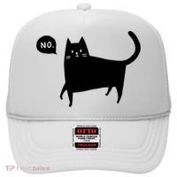 No Funny Black Cat Hat thumb 0