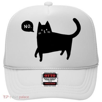 No Funny Black Cat Hat