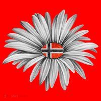Norwegian Flag Daisy Trendy For Summer Cruise Norway Travel Santa Hat thumb 1