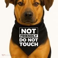 Not Friendly Do Not Touch USA-Made Doggie Bandana thumb 1
