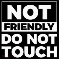Not Friendly Do Not Touch Kids Hoodie thumb 5
