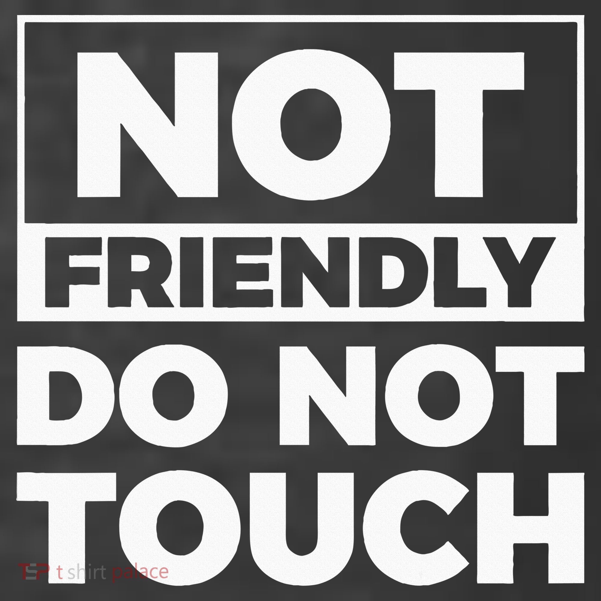 Not Friendly Do Not Touch T-Shirt