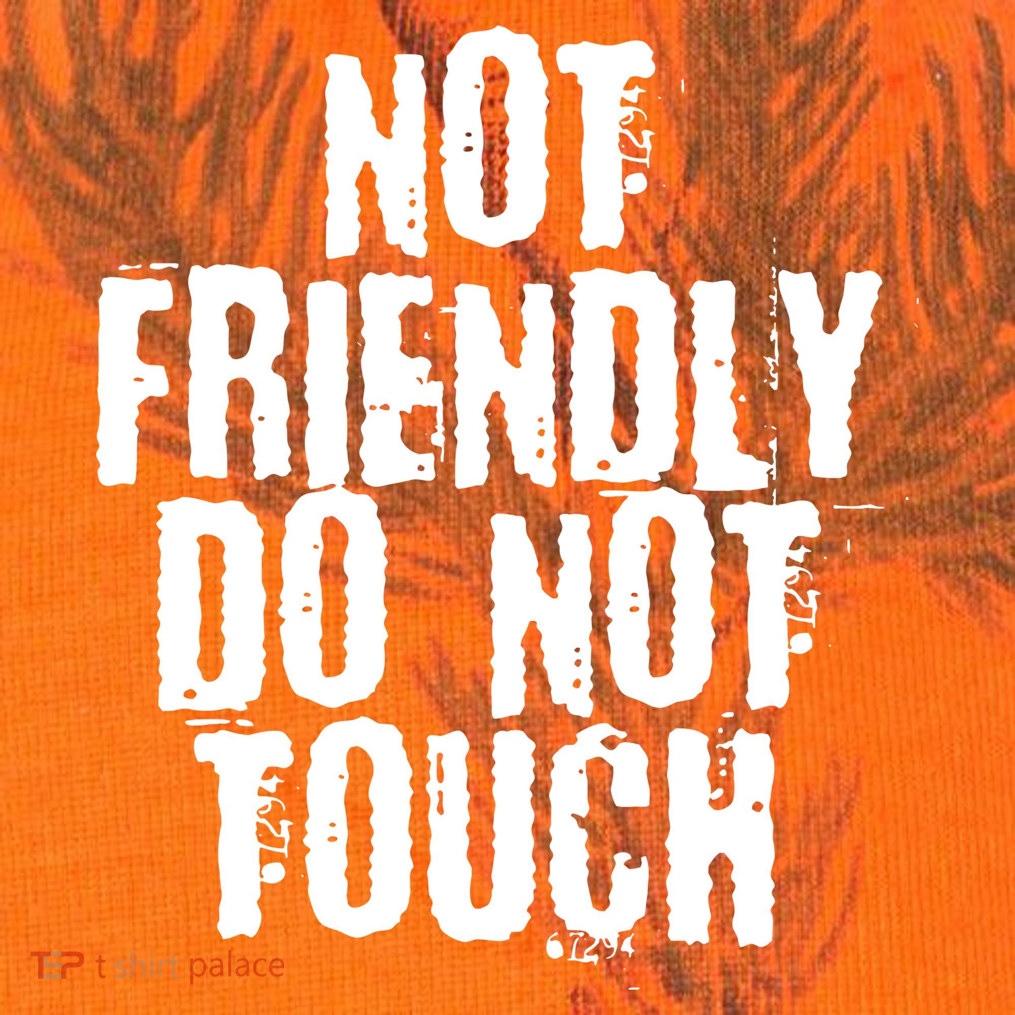 Not Friendly Do Not Touch Funny Saying Kati Licensed 12" Camo Cuffed Beanie