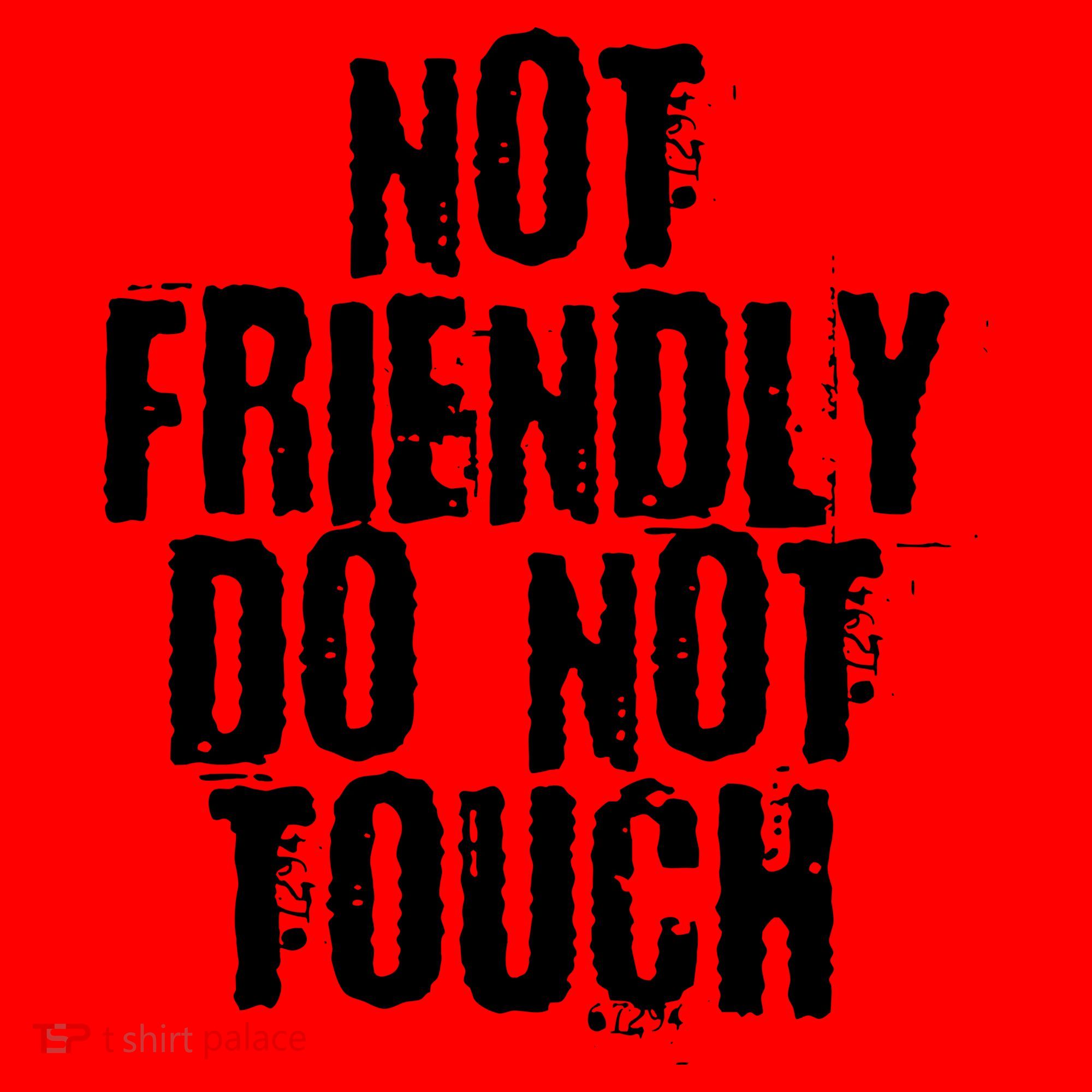 Not Friendly Do Not Touch Funny Saying Santa Hat