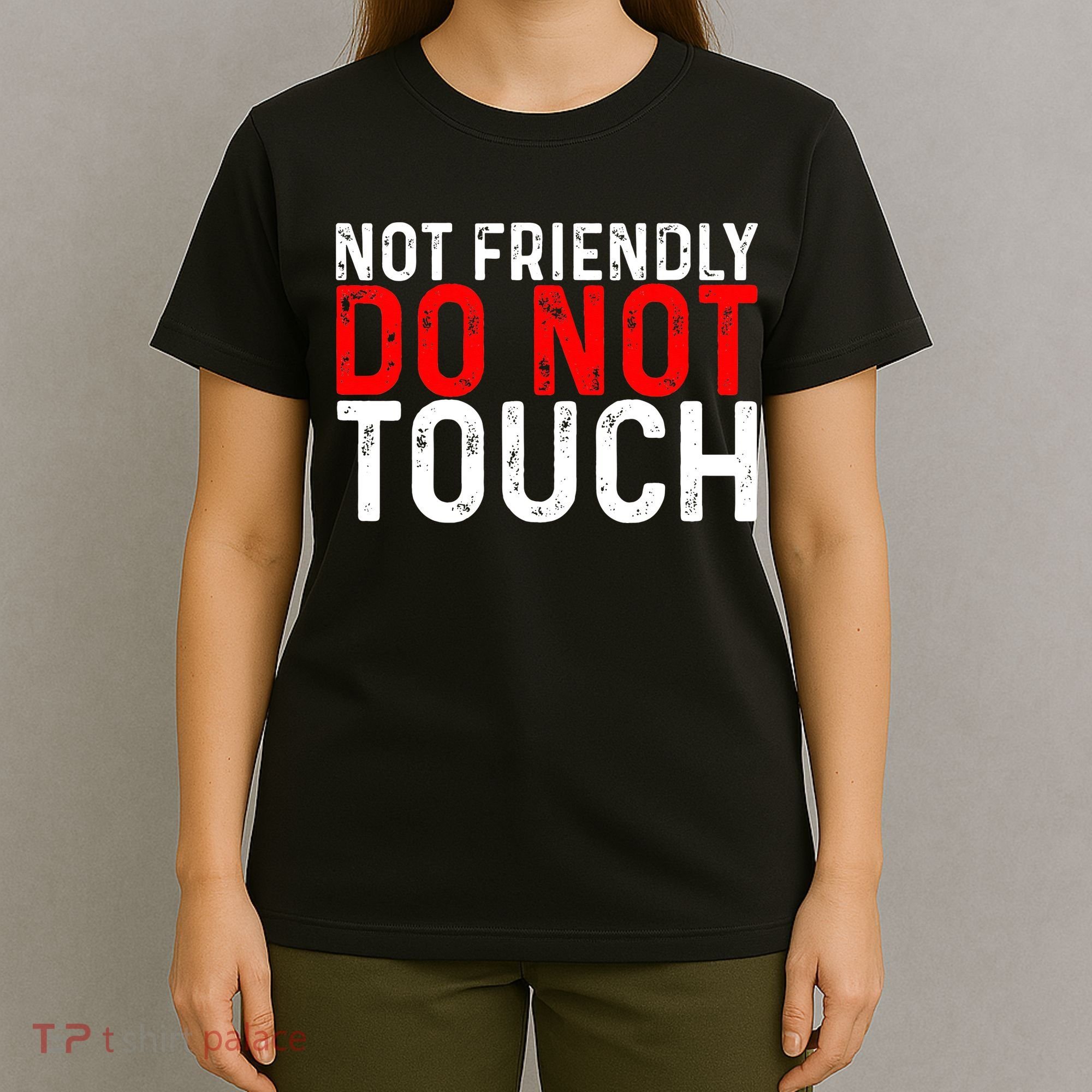 Not Friendly Do Not Touch T-Shirt