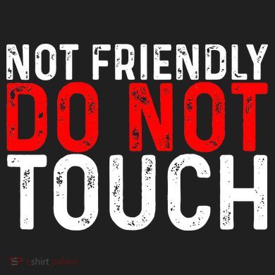 Not Friendly Do Not Touch Urban Oversized Heavyweight T-Shirt