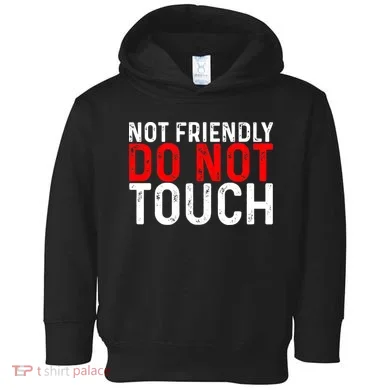 Not Friendly Do Not Touch Toddler Hoodie