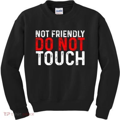 Not Friendly Do Not Touch Kids Sweatshirt