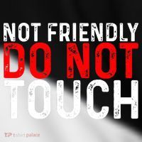 Not Friendly Do Not Touch Toddler Fine Jersey T-Shirt thumb 2