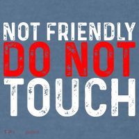 Not Friendly Do Not Touch Comfort Colors Garment-Dyed Hooded Sweatshirt thumb 2
