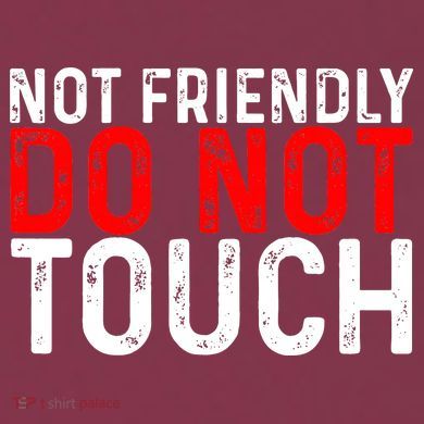 Not Friendly Do Not Touch 16oz Travel Tumbler