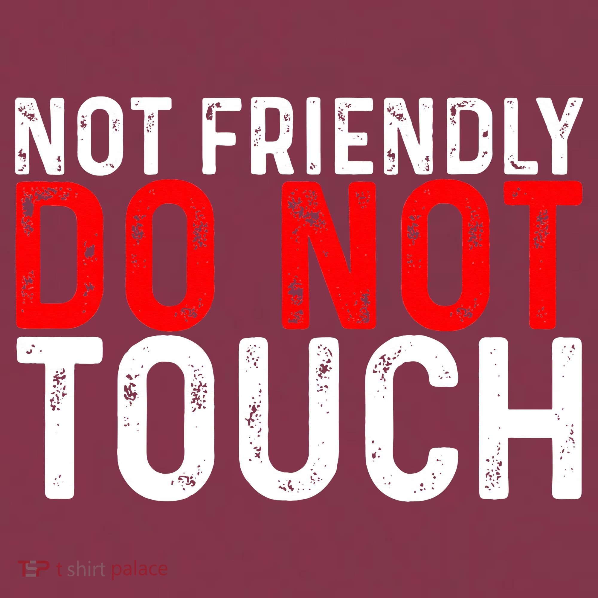 Not Friendly Do Not Touch 16oz Travel Tumbler