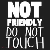 Not Friendly Do Not Touch Women's Sweatshirt thumb 2