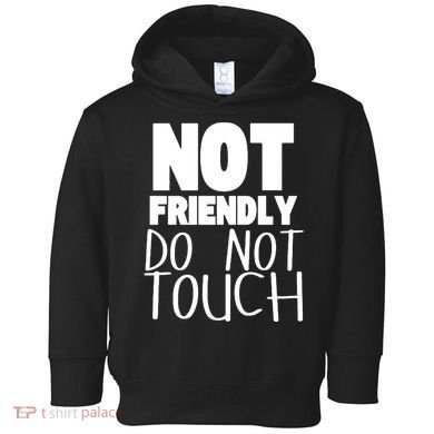 Not Friendly Do Not Touch Toddler Hoodie